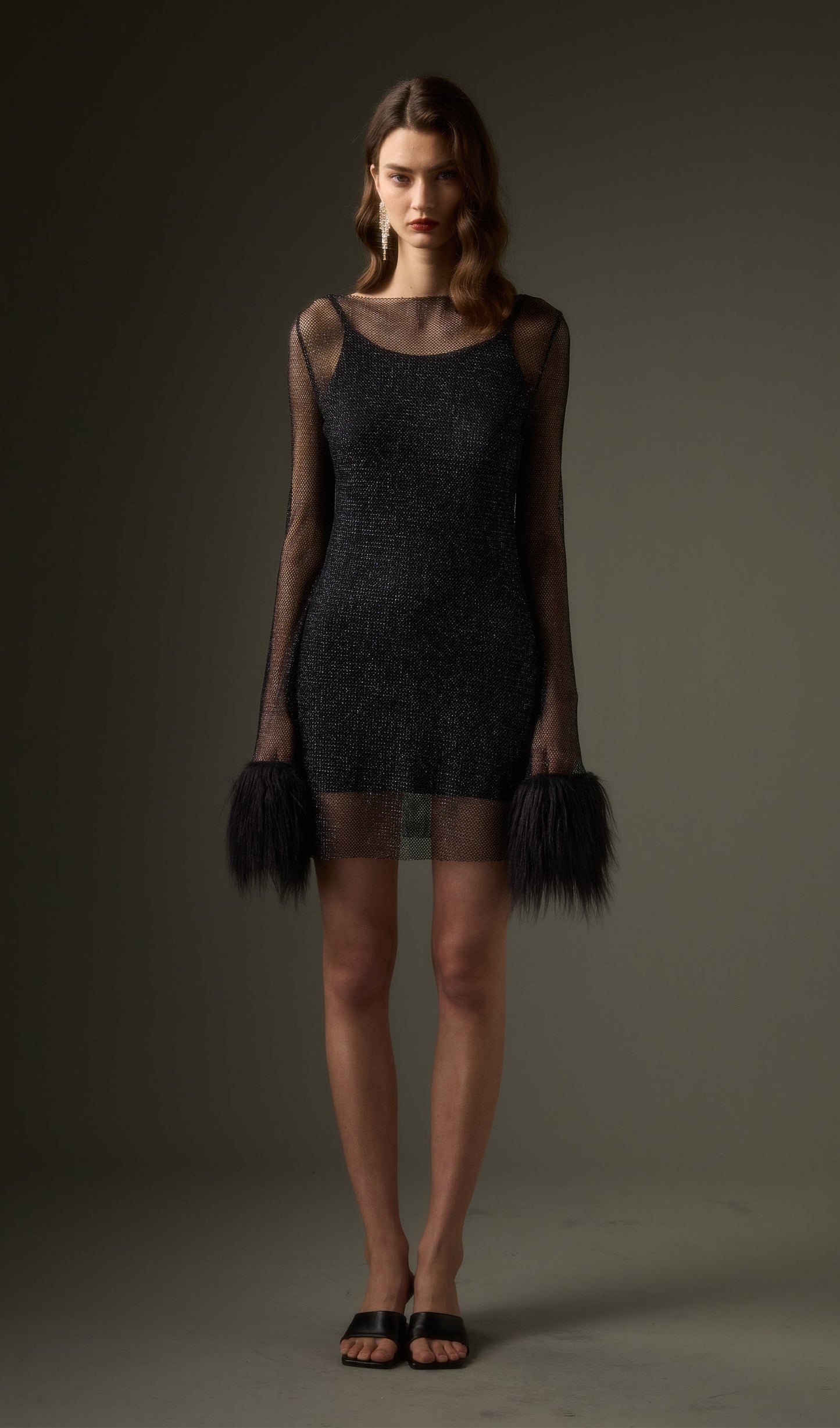 Sheer Mini Dress in Black