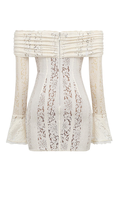 Vintage Floral Lace Off Shoulder Mini Dress