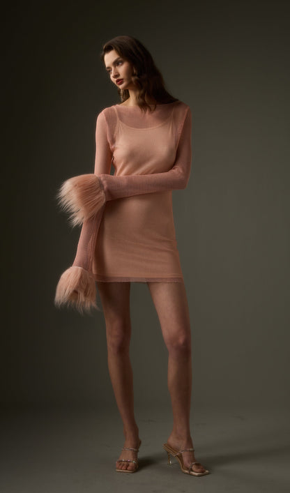 Sheer Rhinestone Mini Dress in Pink