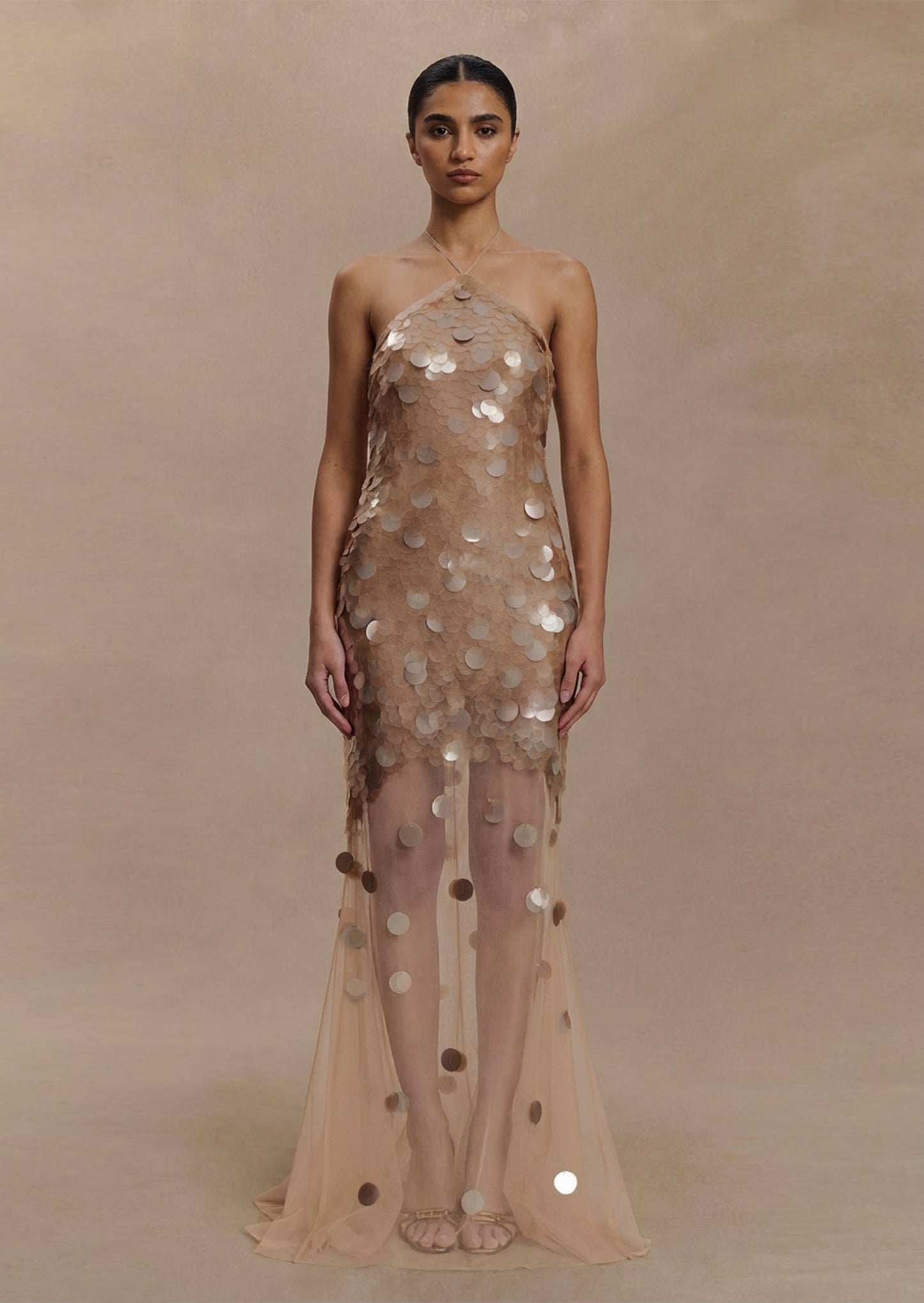 Hand Embellished Maxi Dress In Gold