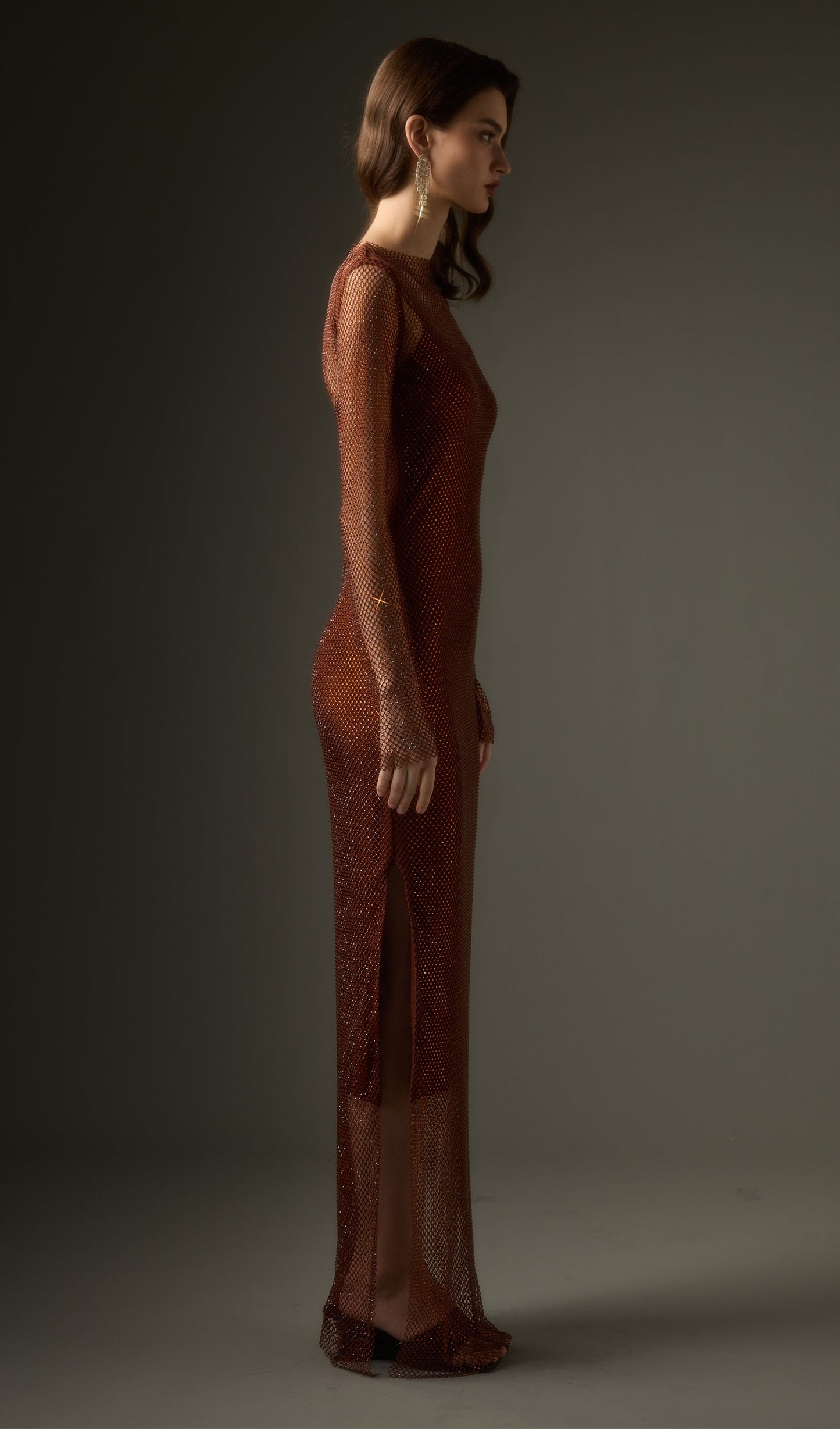 Mesh With Monochrome Maxi Dress In Coffee