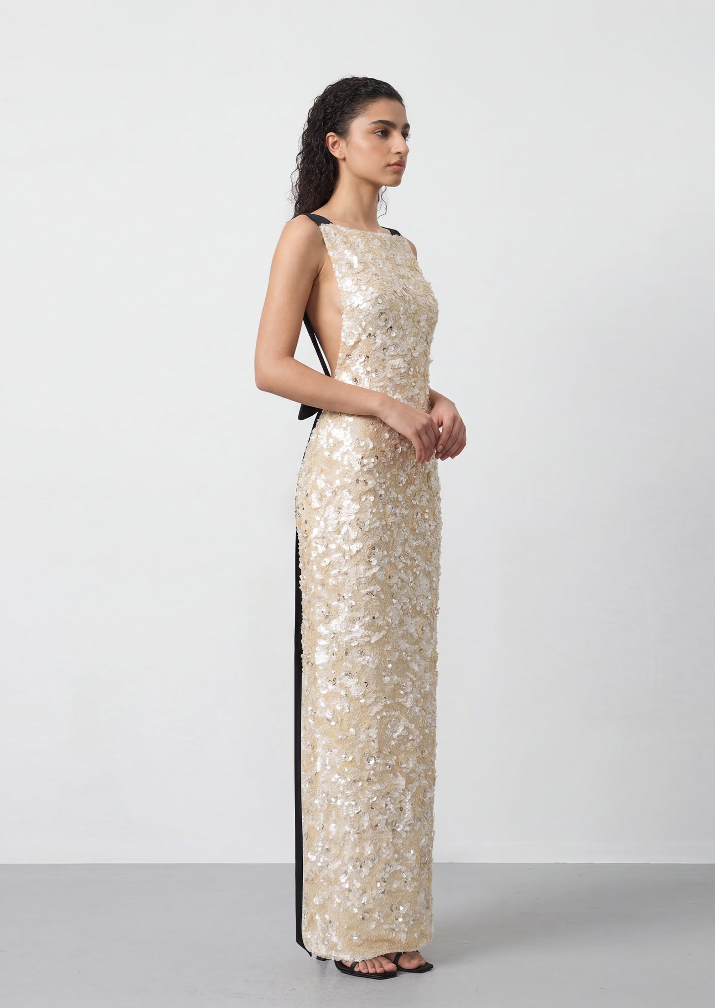 Shanae  Sequin Beading Maxi Dress