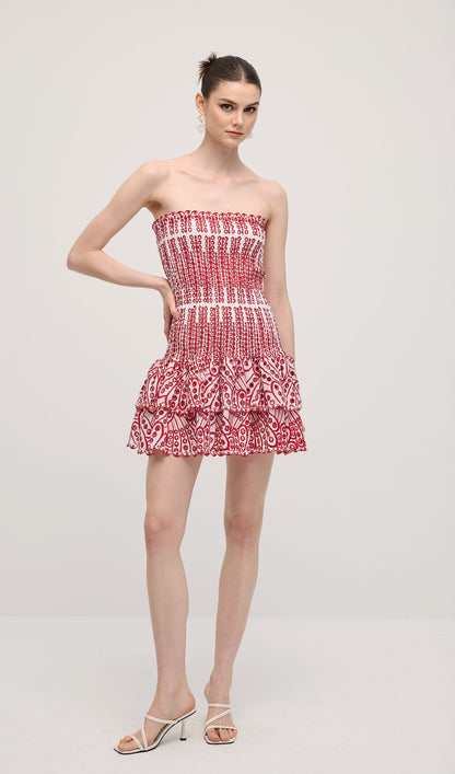 Embroidered Eyelet Cotton Mini Dress In Red