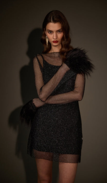 Sheer  Mini Dress in Black
