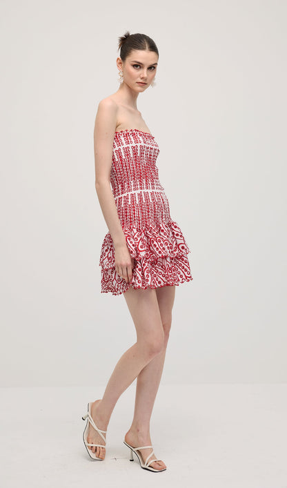 Embroidered Eyelet Cotton Mini Dress In Red