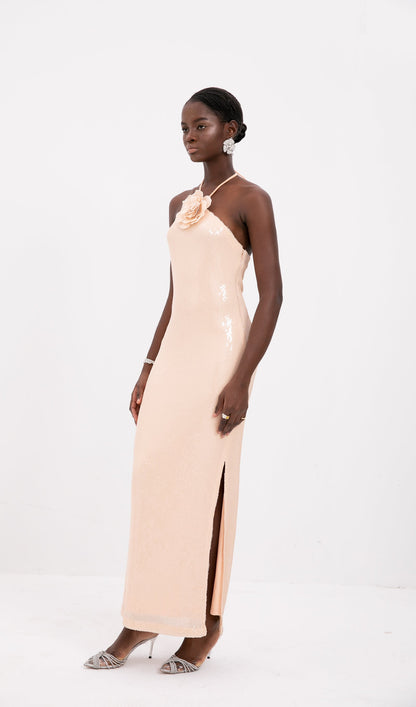 Trendy Floral Halter Neck Sequined Maxi Dress