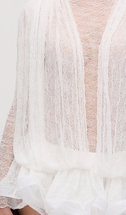 Lace Semi Sheer Ruffled Mini Dress