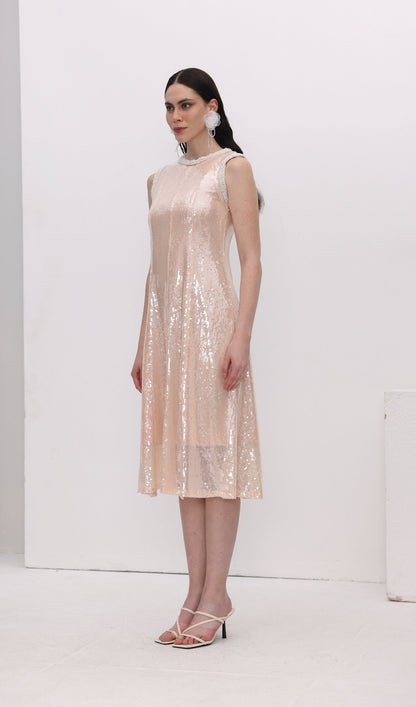 Sequin Embellished Pearl Trim Midi Dress