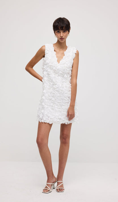 Solid 3D Floral Mesh Overlay Mini Dress