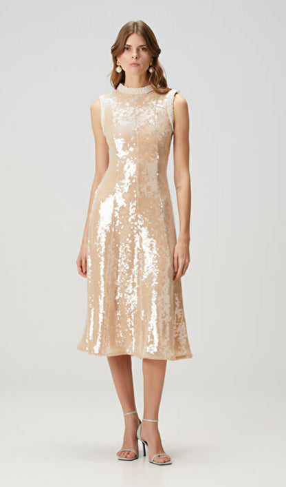 Sequin Embellished Pearl Trim Midi Dress