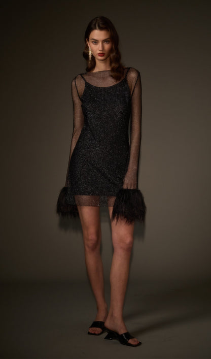 Sheer  Mini Dress in Black