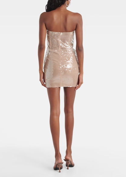 Pamela Gathered Sequined Corset Mini Dress