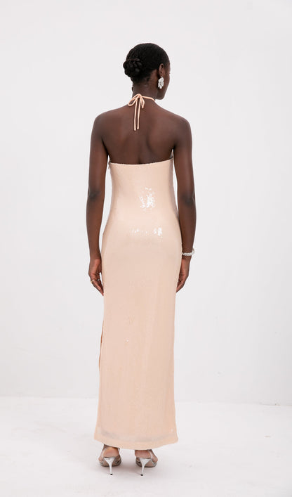 Trendy Floral Halter Neck Sequined Maxi Dress