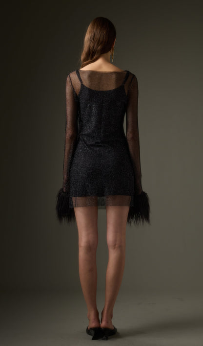 Sheer  Mini Dress in Black