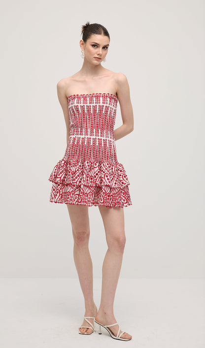 Embroidered Eyelet Cotton Mini Dress In Red