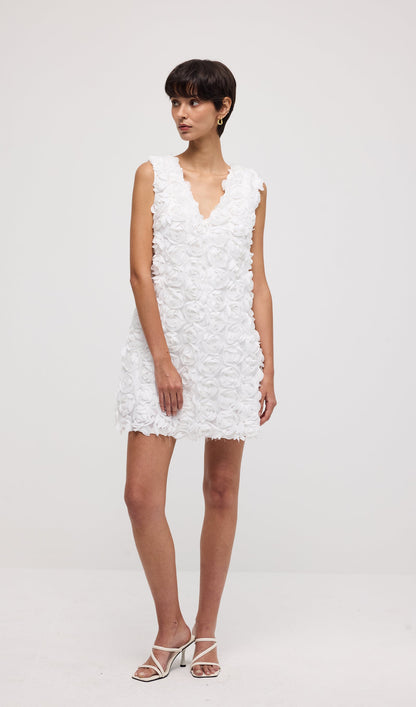 Solid 3D Floral Mesh Overlay Mini Dress