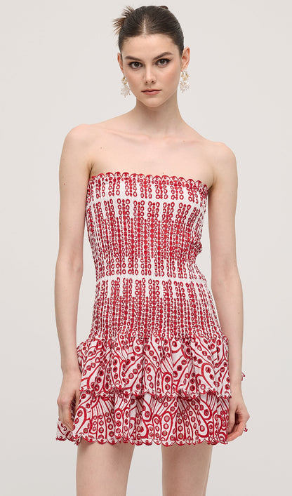 Embroidered Eyelet Cotton Mini Dress In Red