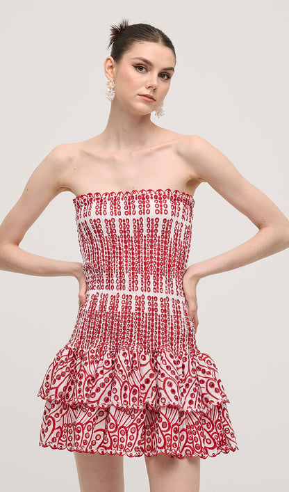 Embroidered Eyelet Cotton Mini Dress In Red