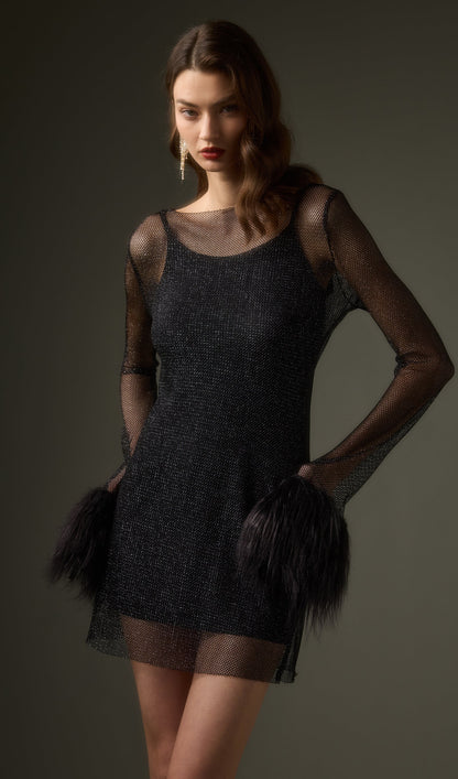 Sheer  Mini Dress in Black